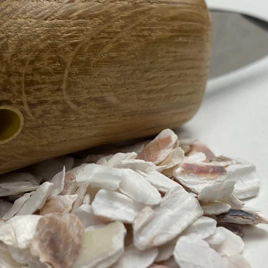 Couteau à huitre en bois en macro avec coquille saint Jacques